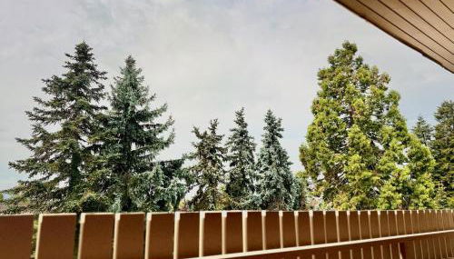 BlackForest 22 - Foto 2