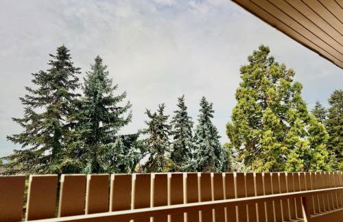 BlackForest 22 - Foto 2