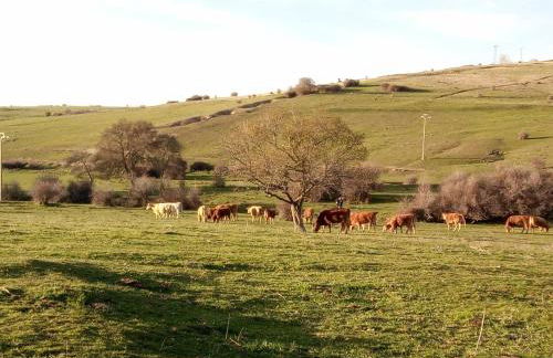 Casa Siete Picos - Foto 26