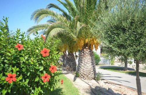 APCOSTAS - Gran Vista - Photo 73