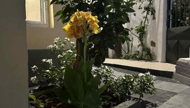 BAZAKOS LUXURY STUDIO KAMPI BEACh - Foto 4