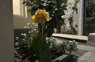 BAZAKOS LUXURY STUDIO KAMPI BEACh - Foto 4