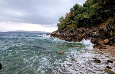 The House 1838 - Foto 5