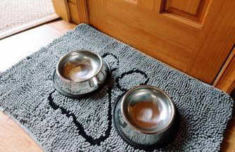 Dog-Friendly A-Frame with Hot Tub and Firepit - Foto 19