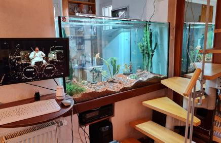 Behagliches Haus mit Kamin und Wärmepumpe - Foto 11