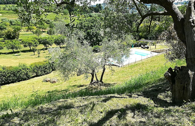 Ca' Princivalle - Photo 28