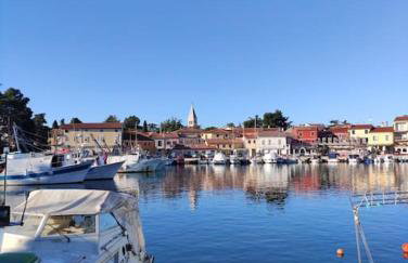 Apartments in the Istrian village - Foto 27