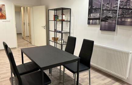 Geräumiges 2-Zimmer Apartment in Messenähe - Foto 3