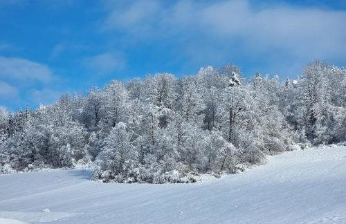 Dom Słońce PRYWATNE JACUZZI ELEKTRYCZNE W CENIE, Jezioro Solińskie, Dom na Wzgórzu SŁOŃCE, rowery, sauna - Foto 73