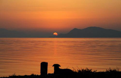 Heracles Guesthouse - Photo 37