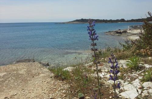 Apartment Greta,50 METERS TO THE BEACH - Foto 23