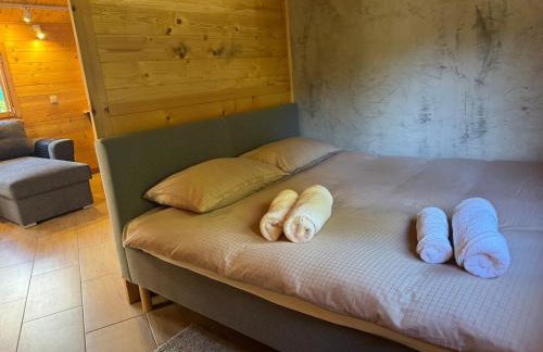 Ackermannia - Foto 44