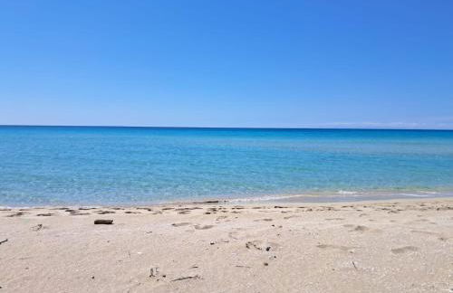 Masseria Macchiarola - Foto 2