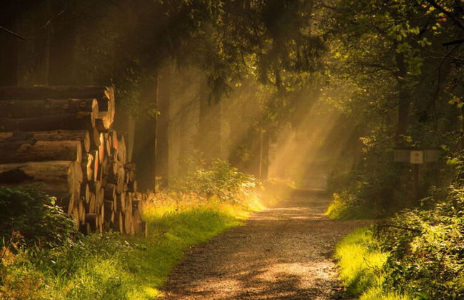 Holiday Home in Willingen-neerdar - Photo 25