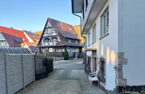 Litzi's Schwarzwald Apartment mit Kamin - Foto 27