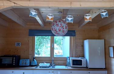 Springbank Cabin - Foto 4