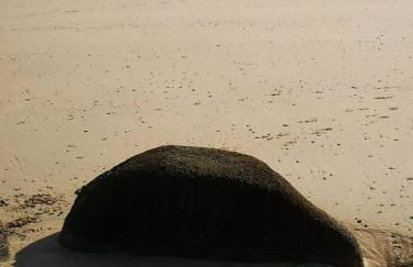 Au Petit Maltot - Foto 23