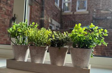 Deluxe Inn - Felling - Foto 31