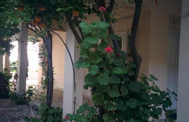 Varagoulis Giannis & Lenas Apartments - Foto 23