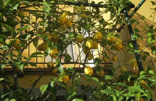 Holiday Home Il Borgo Degli Agrumi - Foto 39