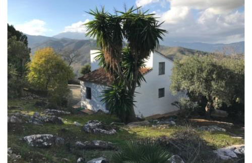 Sunny hillside casita in Guaro - Foto 28