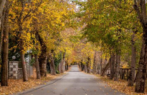 Kallisti Vitina Home - Photo 23