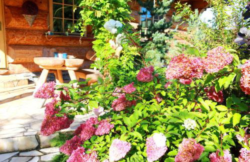 Krolowo Apartment - Photo 22