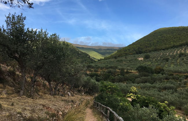 Setter House Agri Hotel - Foto 67