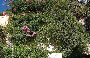 Studio indépendant terrasse entre mer et collines - Foto 2