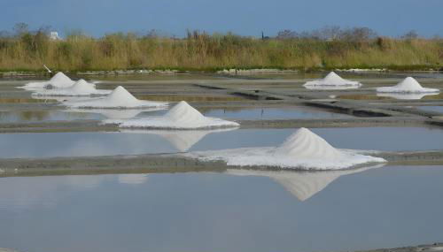 Gîte Le Champ Du Bois - Foto 3