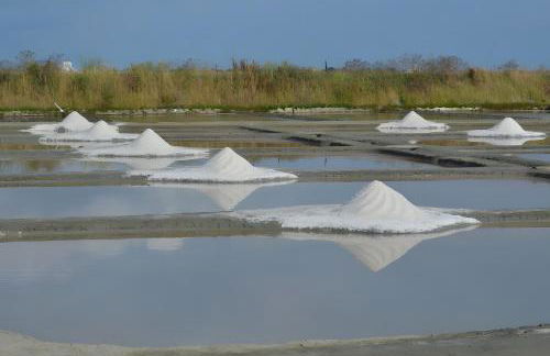 Gîte Le Champ Du Bois - Foto 3