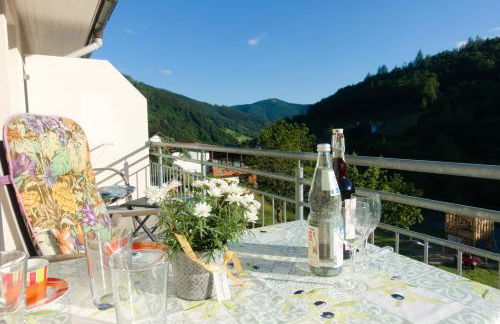 Steiert Panorama Apartments Todtnau - Foto 26