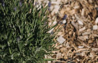 Le Clos d'Omaha - Suites luxueuses à 5 min d'Omaha Beach - Foto 49