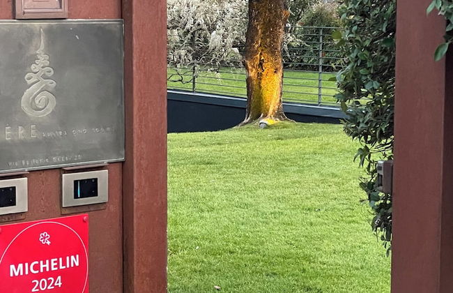 VIVERE suites and rooms - Photo 77