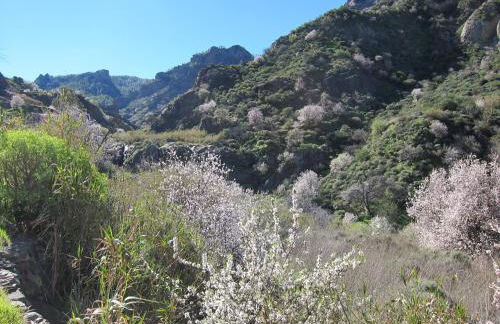 Villa Deluxe Suites Maspalomas - Photo 60