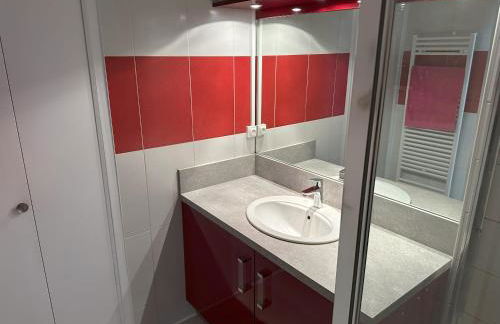 Bel appartement spacieux , lumineux, proche Dijon centre auditorium - Foto 18