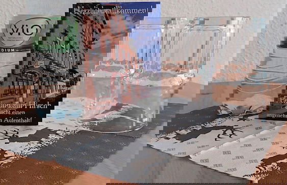 Hotel-Pension zum Hirsch - Foto 36