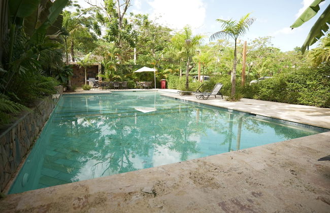 JardinesDelMontserrat - Foto 33