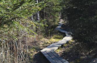Ferienwohnung Mohr - Foto 25