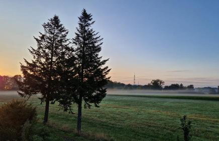 Badischer Neubau-Ruhe-Kunst-Natur - Foto 19