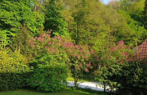 Zielony Zakątek - Foto 9