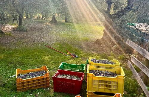 Magical Villa di Gioia Large 6-Bedroom Family Villa with Breathtaking views, Private Garden and Olive grove - in a Cool Village on the Umbria Tuscany Border - Foto 38