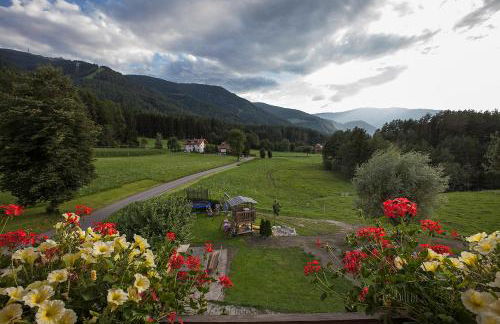 Hölzlhof - Photo 23