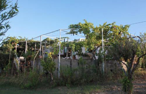 La Villa del Relax - Foto 13