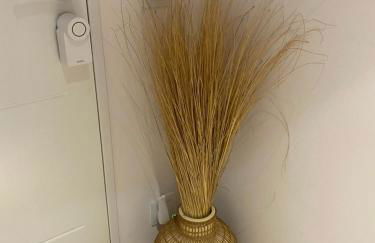 CAL DOMENEC PLATJA Luxury apartment on Torredembarra beach - PETFRIENDLY - Se admiten mascotas - Foto 54