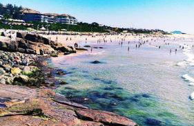 Espaço Benguela - Ingleses Florianópolis - Photo 44