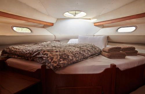 cuchi-barco - Foto 22