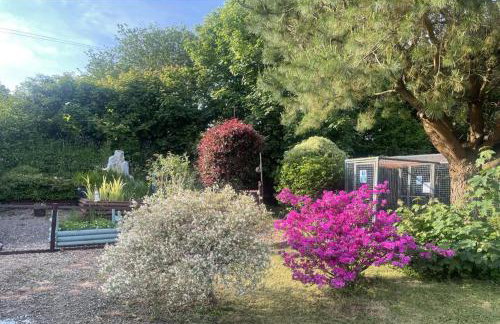 1 Bedroom Cabin Sleeps 2, Private Garden, Wifi - Photo 49