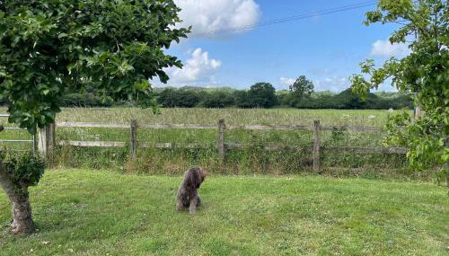 Swallows Retreat - Foto 5