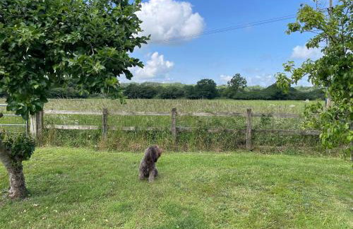 Swallows Retreat - Foto 5